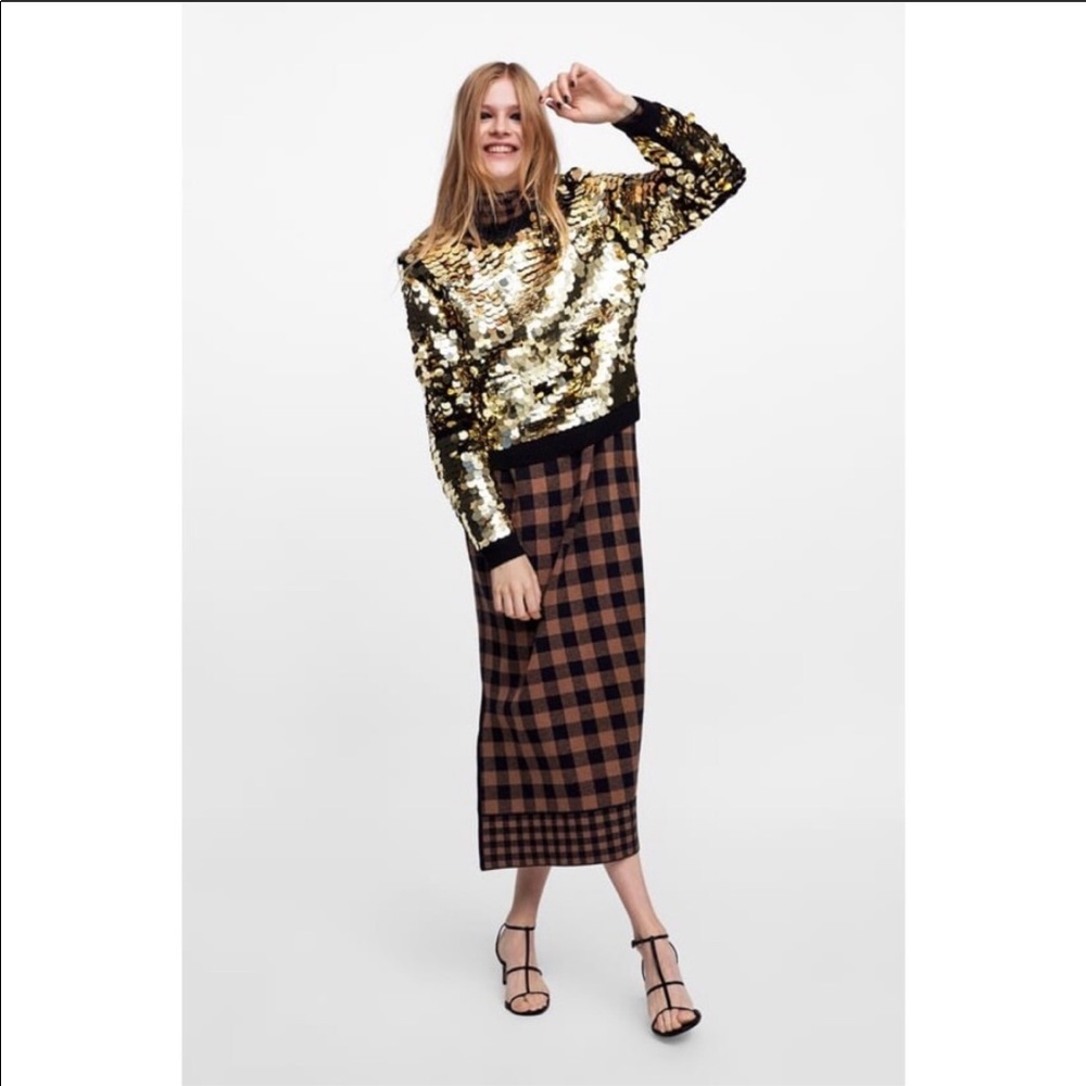 Sale! Zara Sequin Sweater